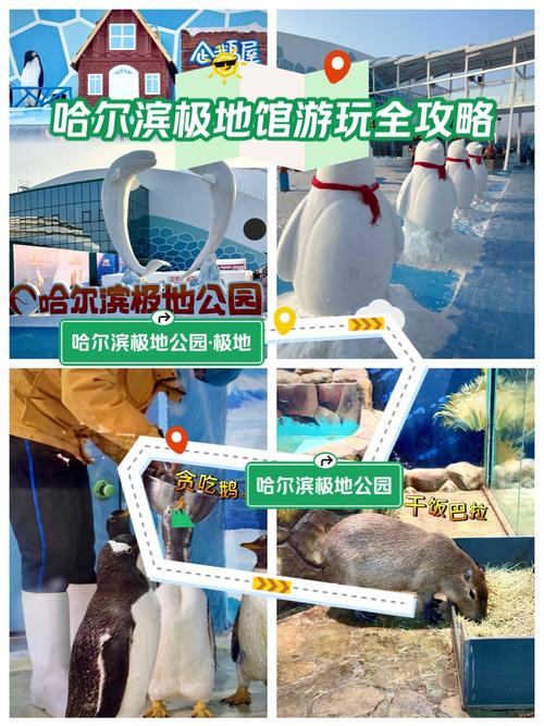 哈尔滨极地馆的参观游玩攻略是什么?