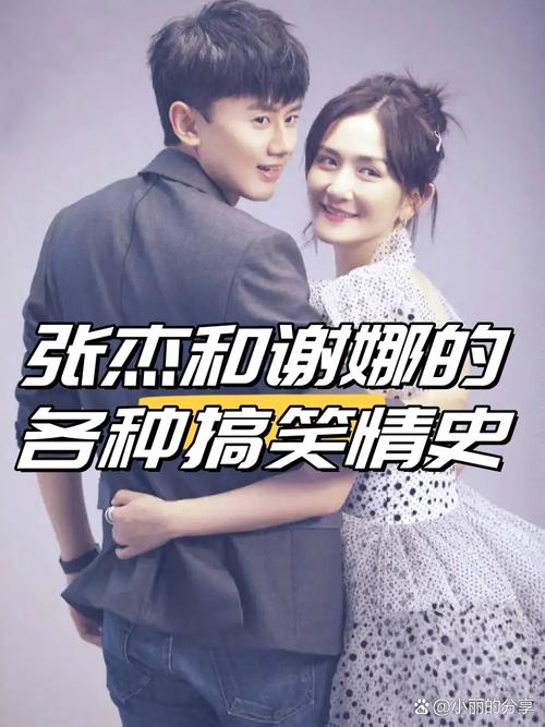 张杰谢娜的关系