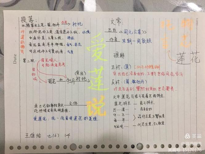 爱莲说第三关路线图攻略介绍_爱莲说第三关路线图攻略是什么