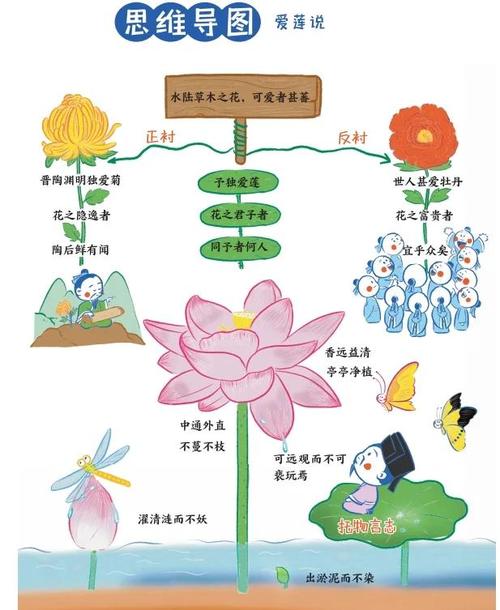 爱莲说第二关路线攻略介绍_爱莲说第二关路线攻略是什么