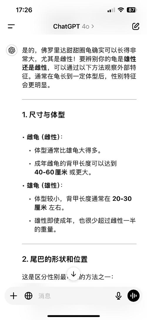 拳击俱乐部龟系加点攻略