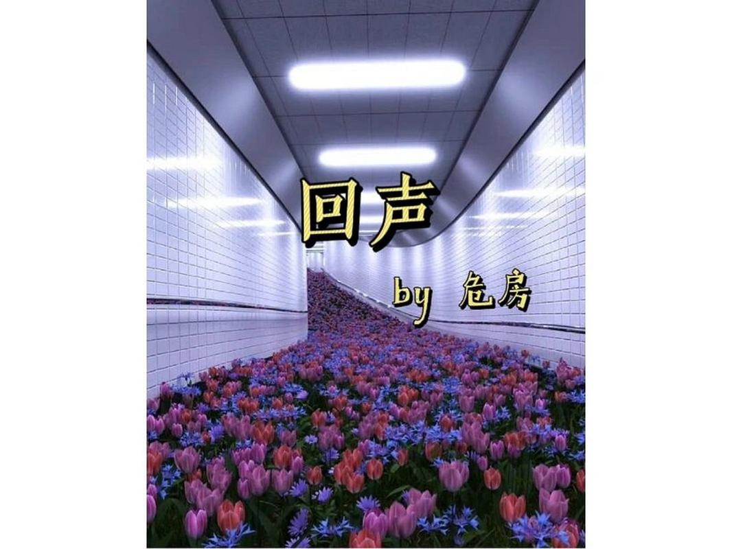全面战争日月共明在哪个文件夹里打来
