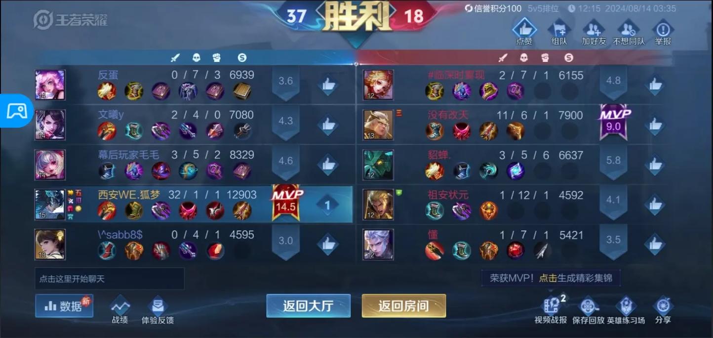 问个问题,电信前5个区的最强王者能打职业联赛吗