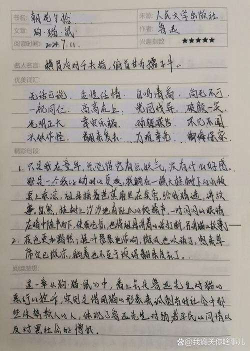 为《朝花夕拾》写一段推荐语?