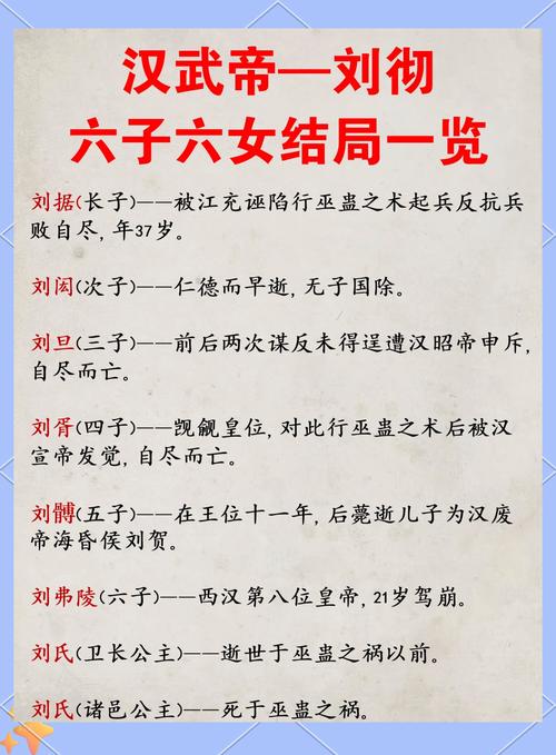 卫子夫的孙子怎么当上皇帝的?