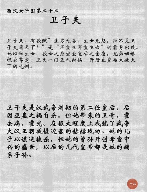 历史有汉宣帝吗?是卫子夫和武帝的后代的后代吗?