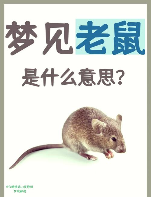 小黑的BOSS攻略
