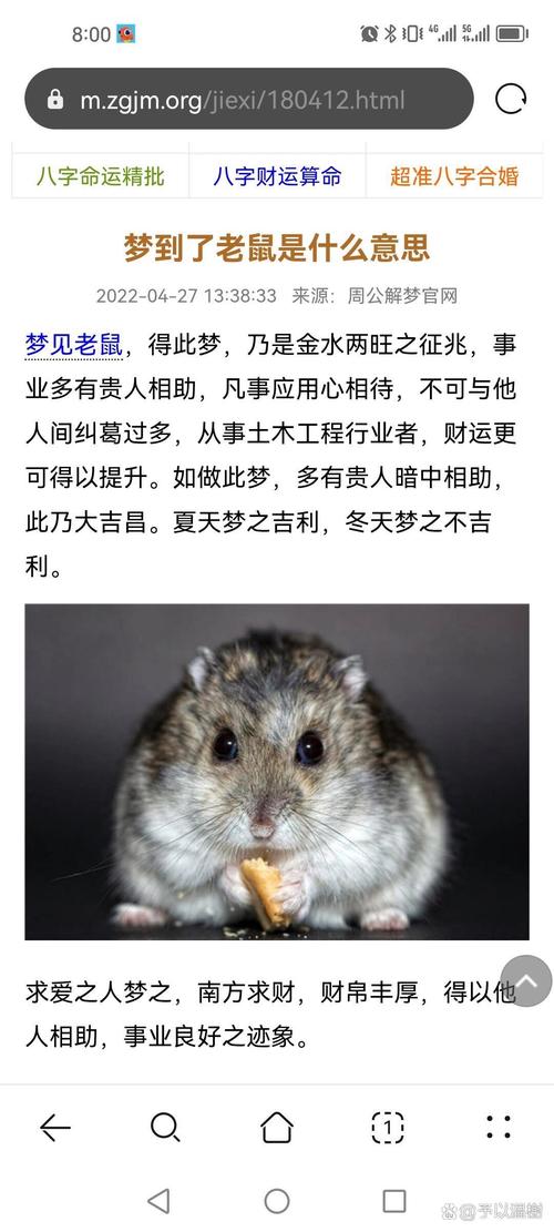 主人给仓鼠小黑吃水龙果,小黑不喜欢吃,只吃小虾米