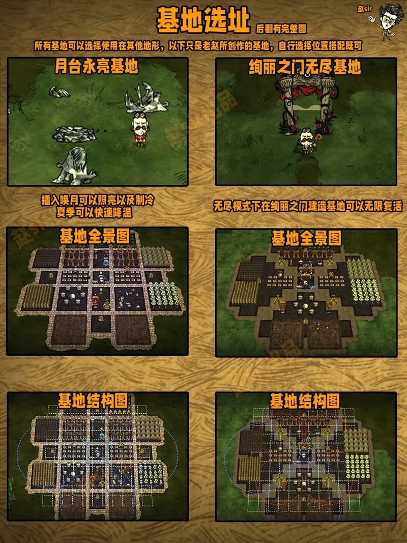 寄生黄蜂游戏攻略详解,成为顶级玩家的秘诀与策略解析