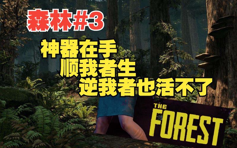 原神到底玩的是什么