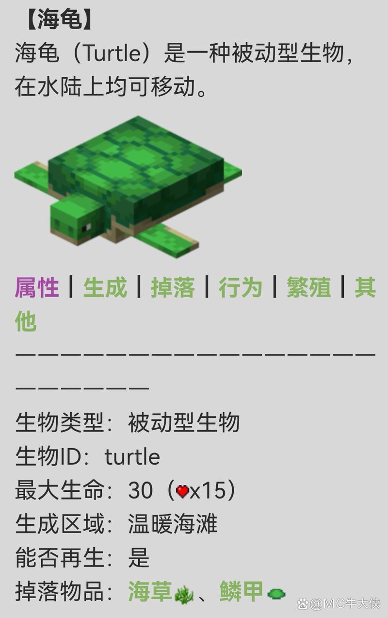 海龟岛逃生游戏介绍