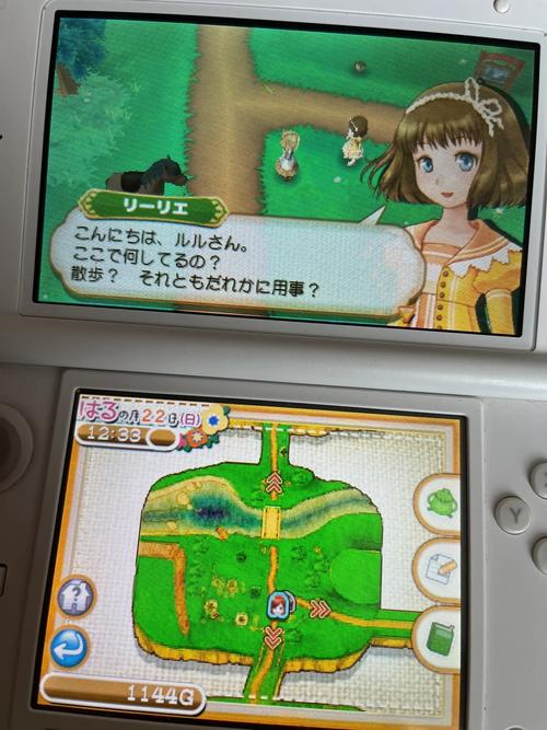 NintendoDS(就是所谓的NDS,或DS)有什么好玩的游戏卡推荐一下