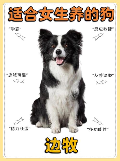 李双江是何许人也?怎么养了那么个混蛋啦?