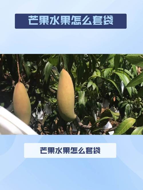 想在电视屏幕上用游戏手柄打游戏,需要买些什么设备?