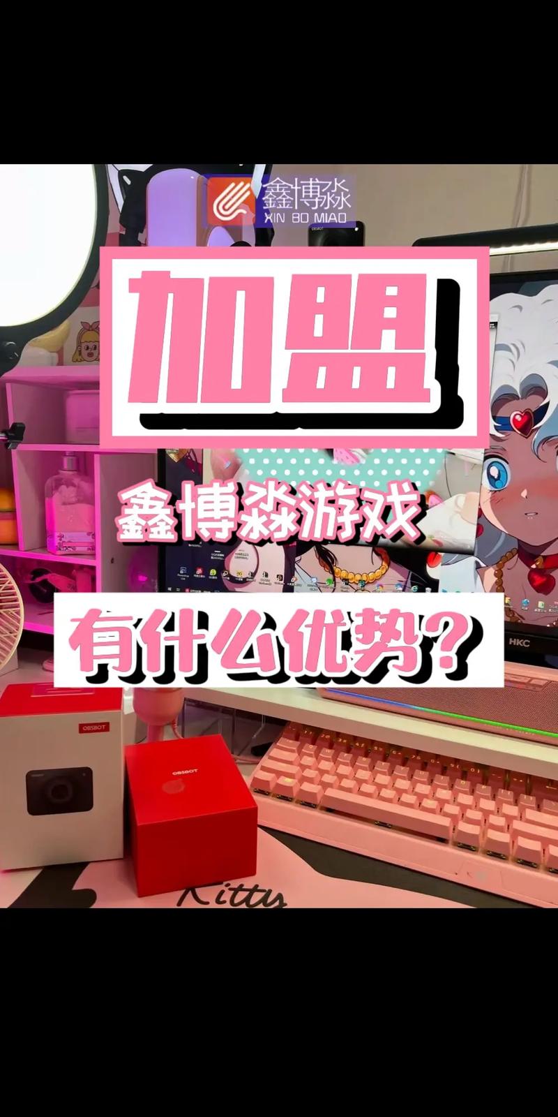 有谁加盟过鑫博淼手游游戏,是怎么做的?还可以吗?
