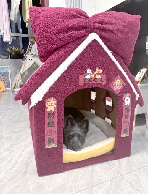 如何用硬纸板给小狗搭窝?