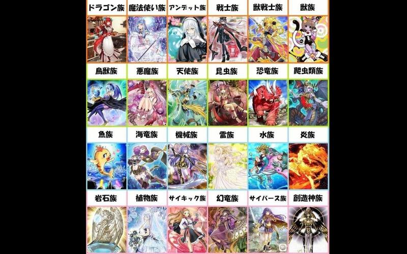 游戏王的所有属性及种族