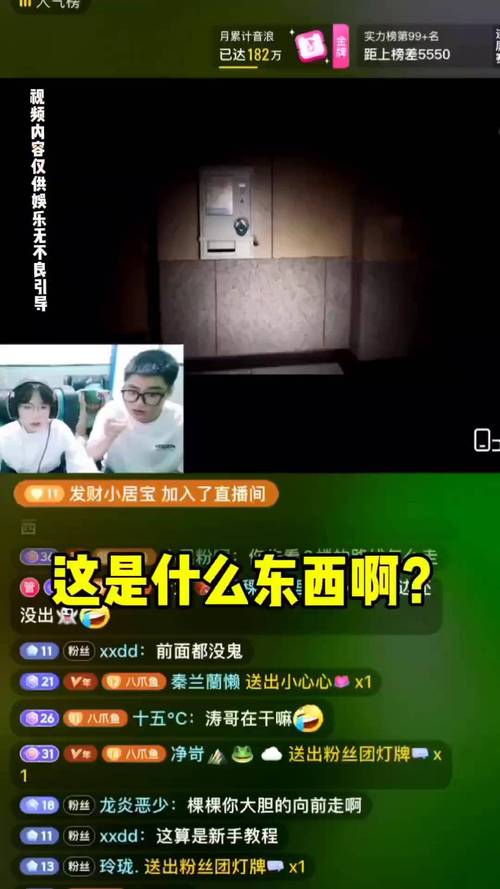 主播嘟嘟恐怖游戏