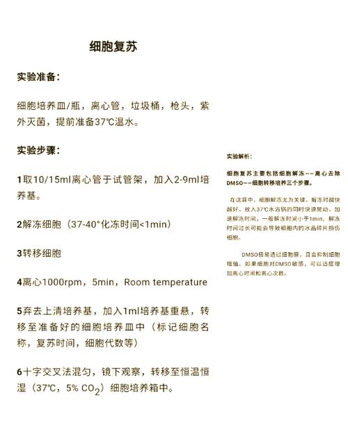 HUVEC细胞培养攻略