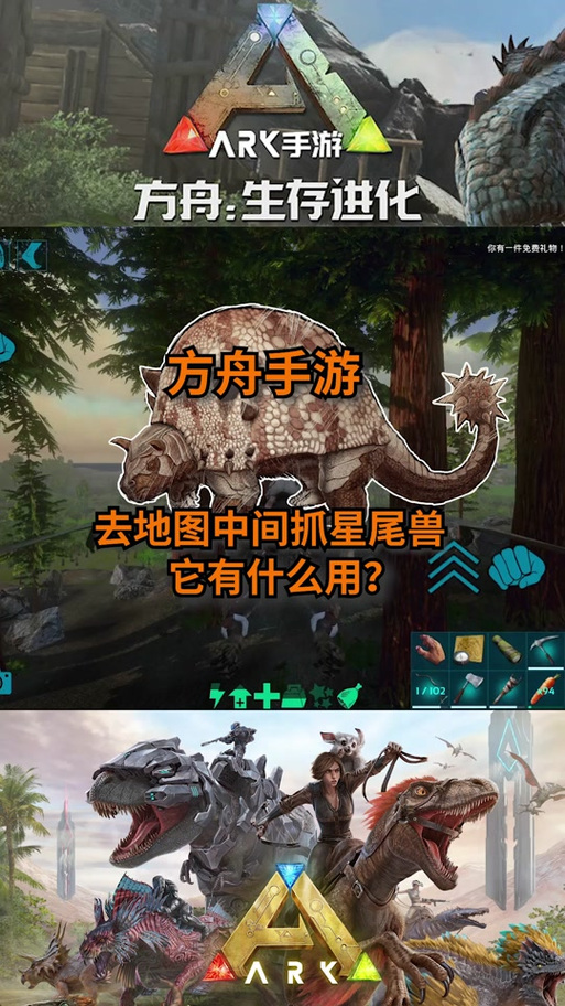 方舟生存进化单人培养变异龙教学