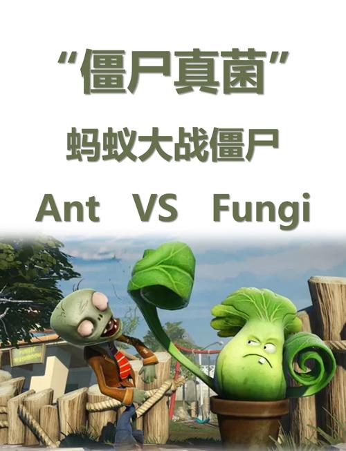 蚂蚁基金实盘如何开通
