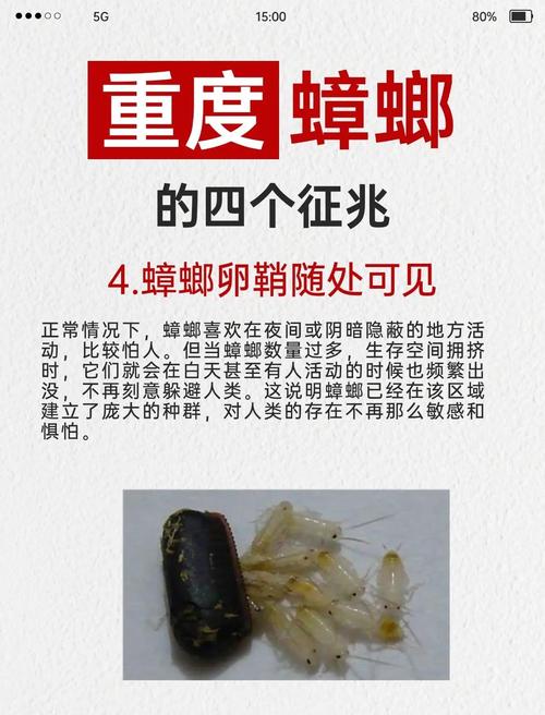 蟑螂入侵评测