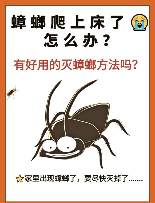 CF手游M4A1-欢乐谷评测